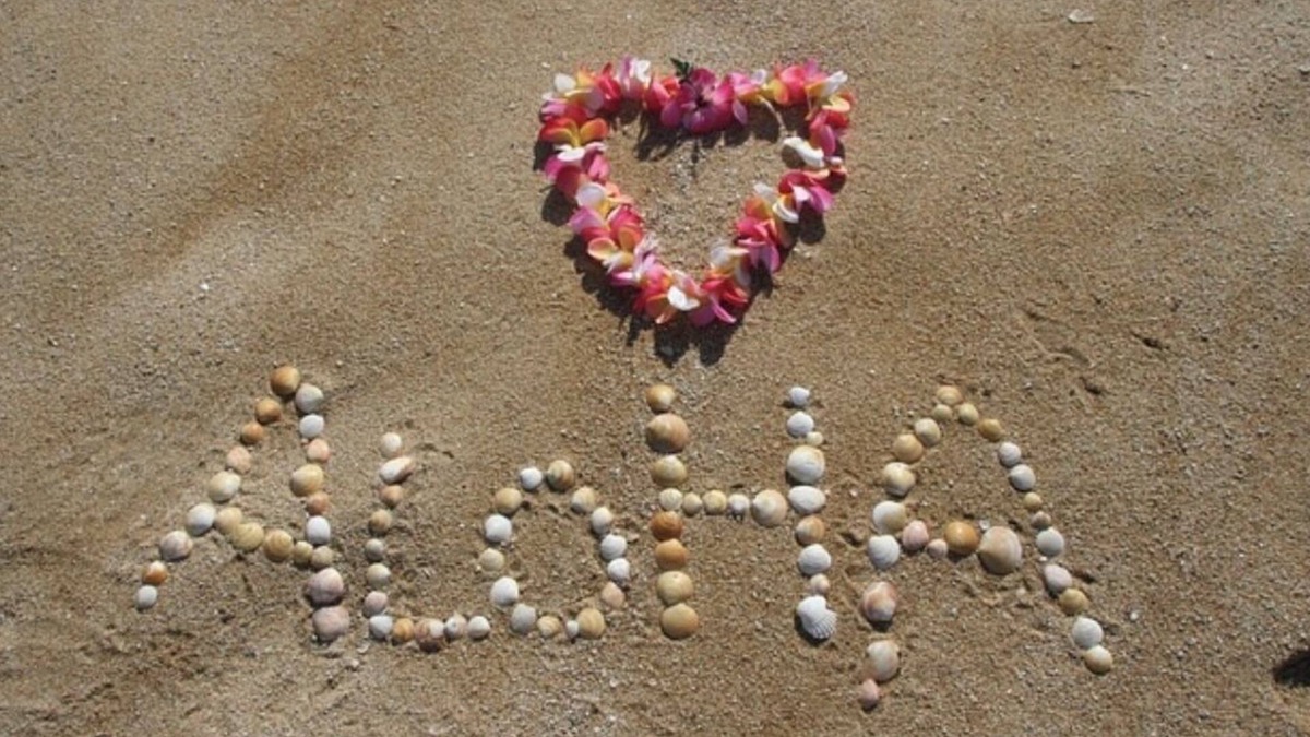 Kahuku Condo | 1 bedroom + loft- Sleeps 6. September sale: stay 4 nights & waive cleaning fee