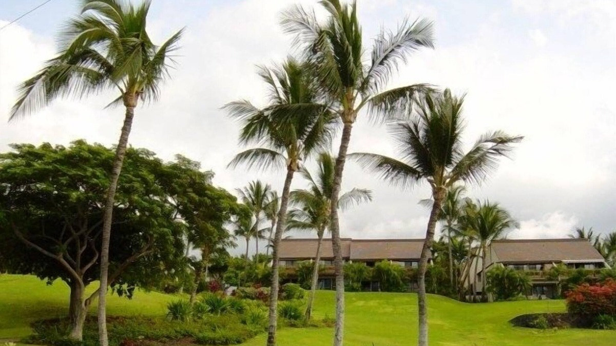 Kihei Condo | 1BR/2BA Maui Kamaole/Wailea Border. K Cluster @ Tropical Pool!
