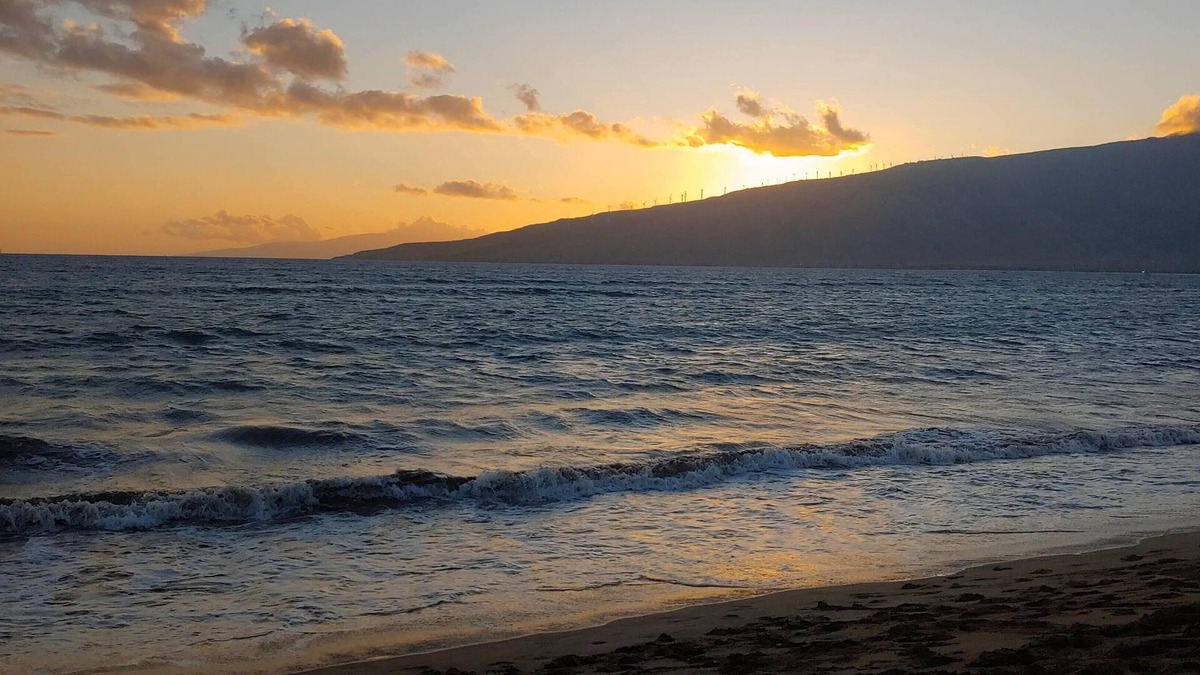 Kihei Condo | Affordable Comfy Condo - Just Steps Away from a Sandy Beach!