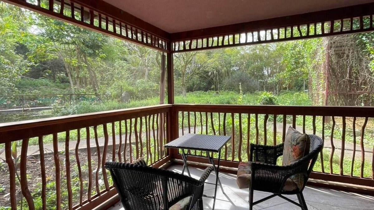 Honalo House | Amidst Bamboo Jungle Retreat