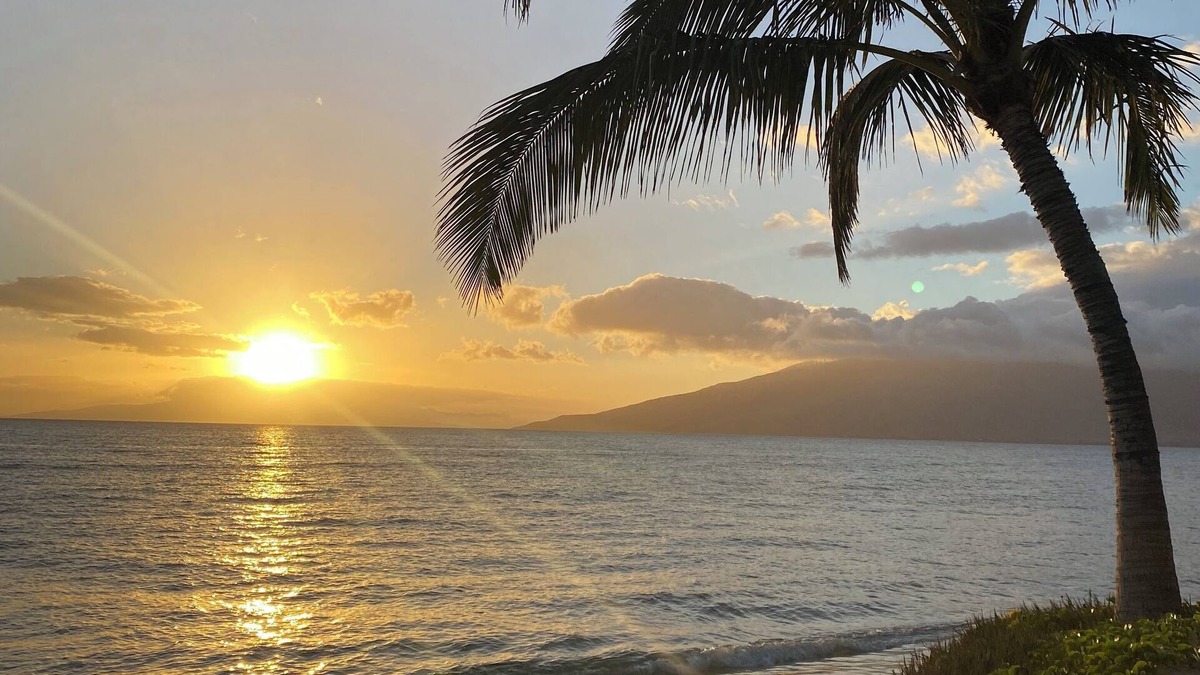 Kihei Apartment | Aug-Nov 2025 Sale! 2BR/1BA BEACHFRONT - GREAT LOCATION- EXCEPTIONAL REVIEWS