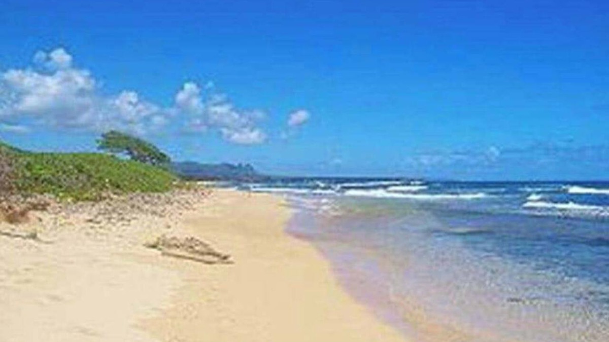 Hanamaulu Apartment | August Sale! Ocean-View Lihue Resort Condo with Pools, Gym & Spa Access