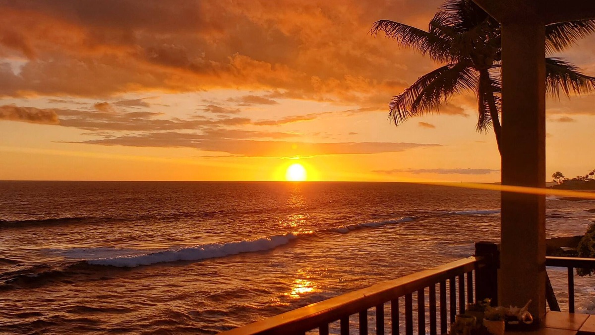 Kailua-Kona Condo | Banyan Tree #303 - The best oceanfront condo with a car, beach & all the gear!