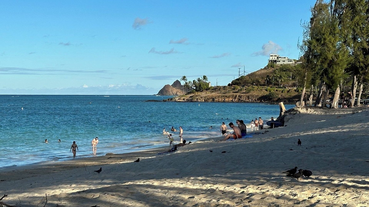 Kailua House | BAREFOOT-BEACH-RETREAT, 2BR, NEWLY FURN. WALK-2-BEACH/BUZZ'S=2 MIN, KAʻOHAO SCH.