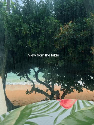 Punaluu Apartment | Beachfront 180 Degree Ocean View Monthly Rental
