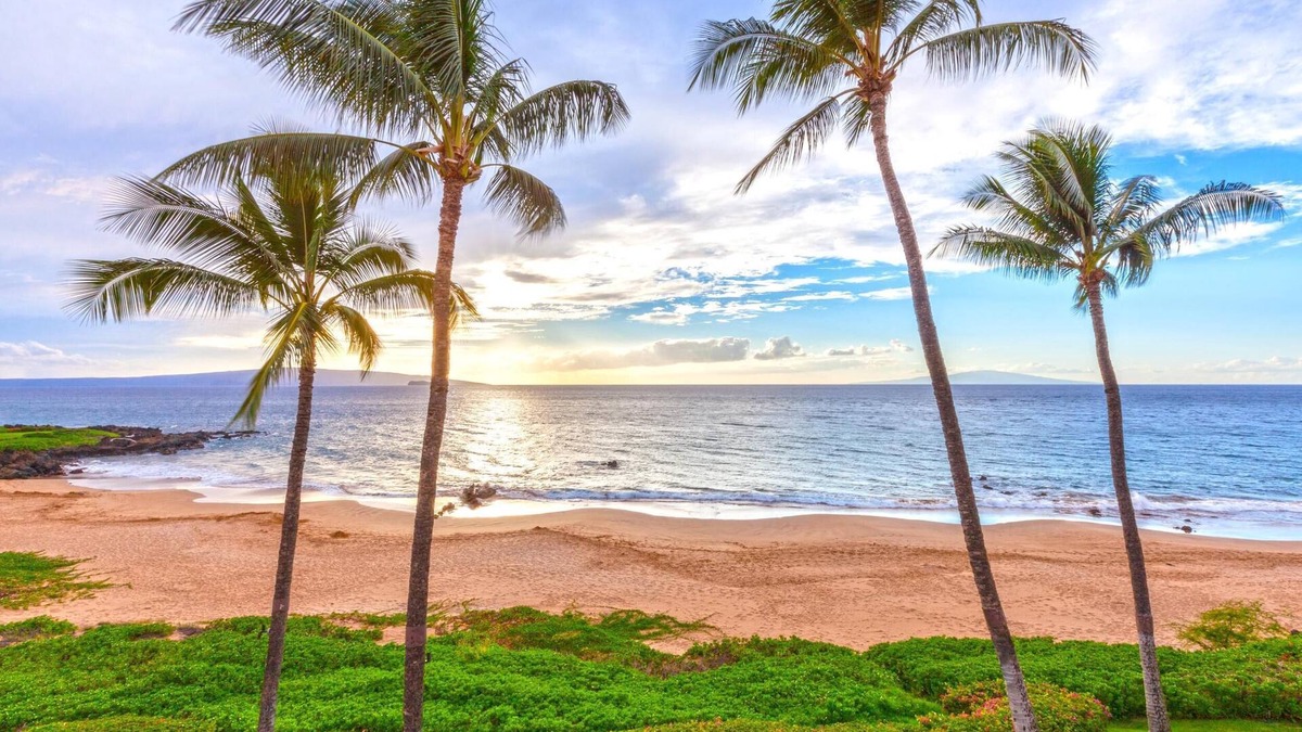 Wailea Condo | Beachfront Condo B303 - December 13-27 Still Available!