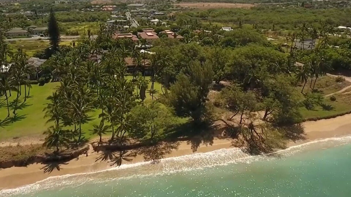 Kihei House | BEACHFRONT FAMILY ESTATE: Sleeps 15 - 4 separate Units with optional cottage.