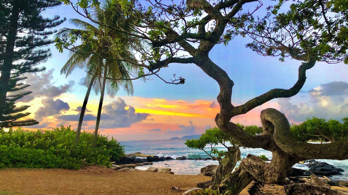 Wailua Condo | Beautiful condo with air conditioning in the bedrooms, ocean 100 yards of unit.