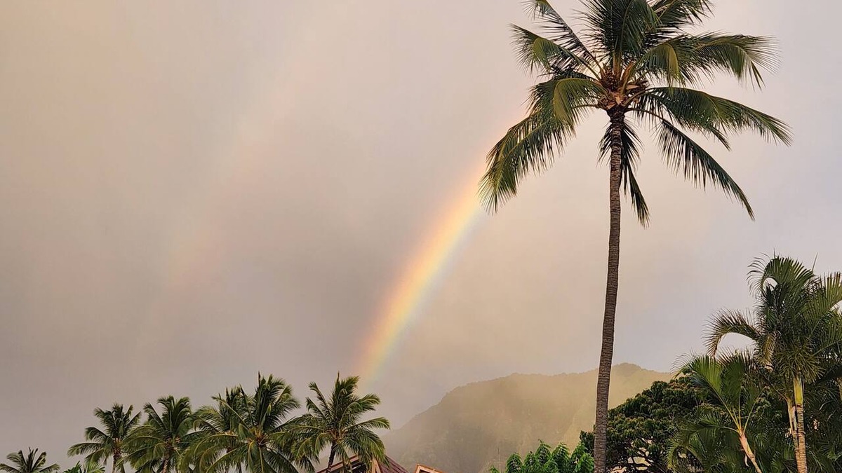 Makaha Valley Condo | Beautifully renovated condo in paradise - car included!