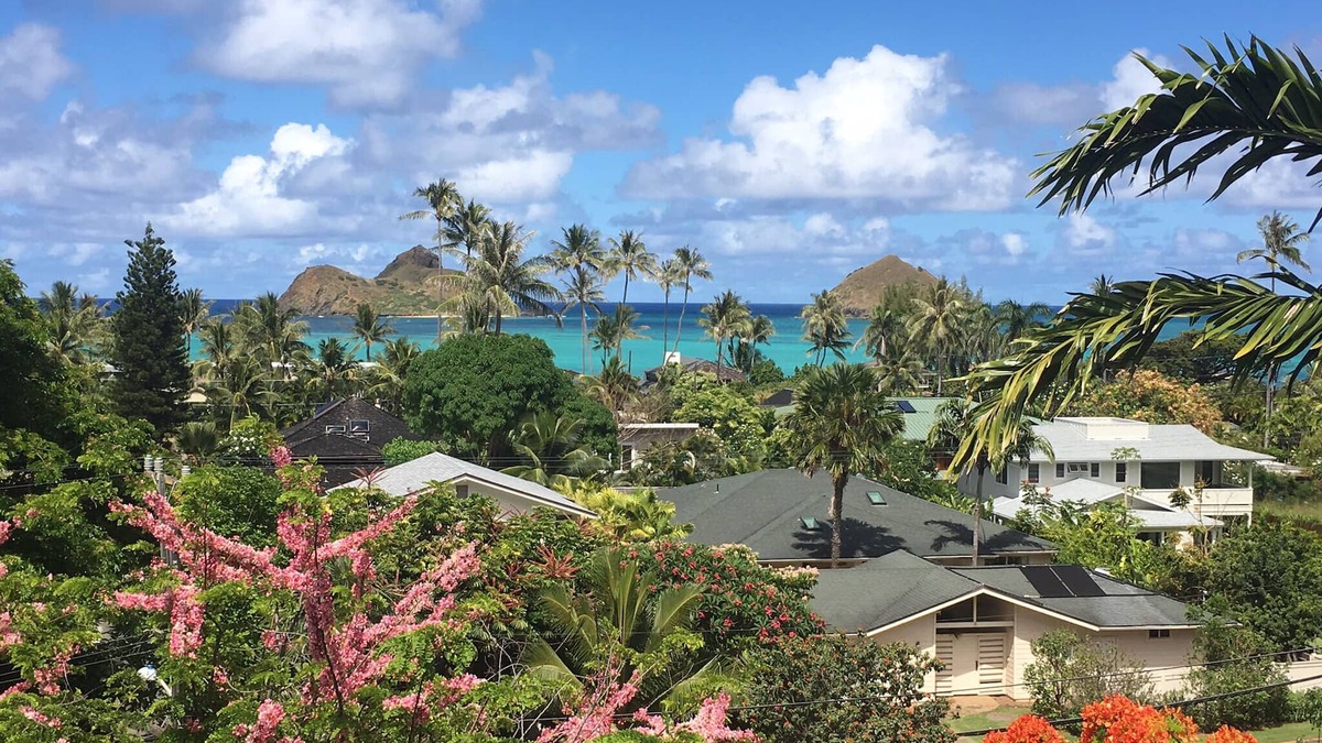 Lanikai House | BEST LICENSED LOCATION The VIEWHOUSE LANIKAI Aalapapa 43005029, 07018,10701878