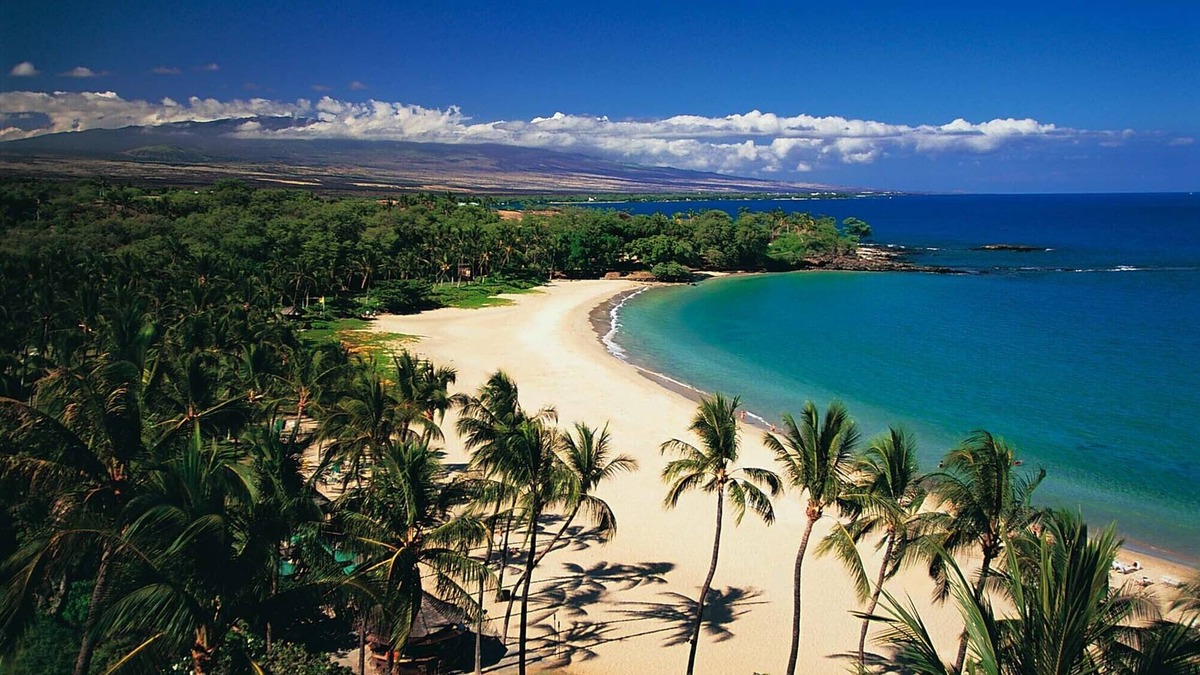 Kamuela House | BEST PLACE TO STAY! Close to Kamuela Town and World Class Mauna Kea Beach!