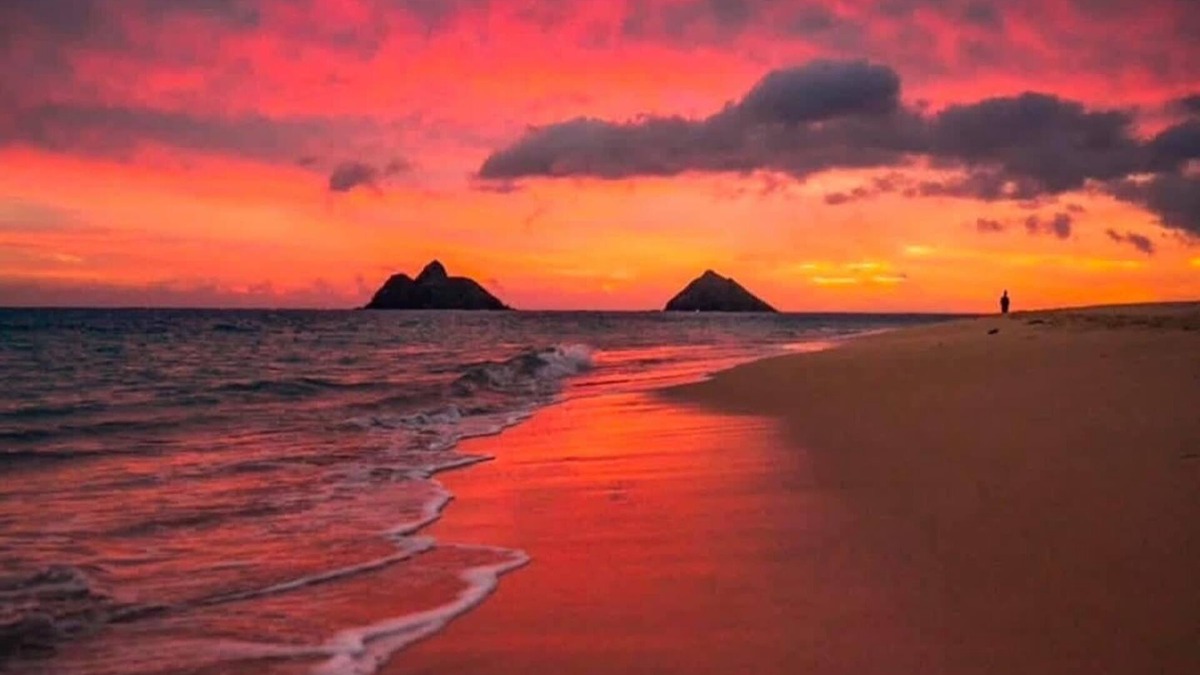 Lanikai Cottage | CHRISTMAS AVAILABILITY! Charming Lanikai Kailua Cottage. Custom Stay Requests.