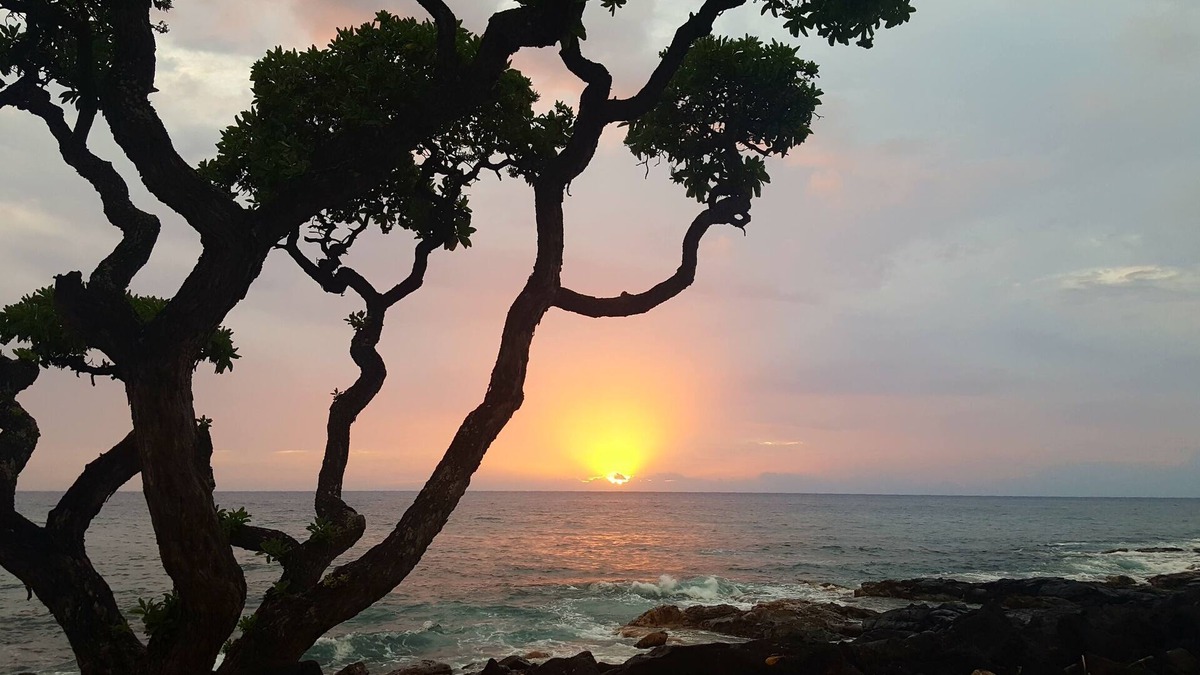 Kailua-Kona Condo | DAZZLING OCEAN VIEW, Oceanfront Complex close to town, dining & shopping