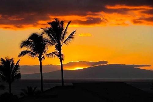 Wailea House | Dramatic Ocean Views, Wailea Ekolu 407, Perfect for Couples, Renovated, Split AC