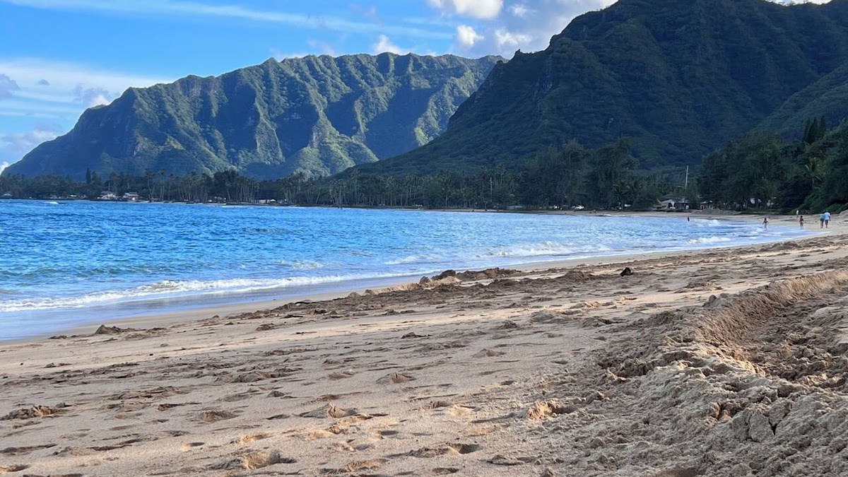 Punaluu House | Entire House, Ocean front, White Sand Beach across the street.