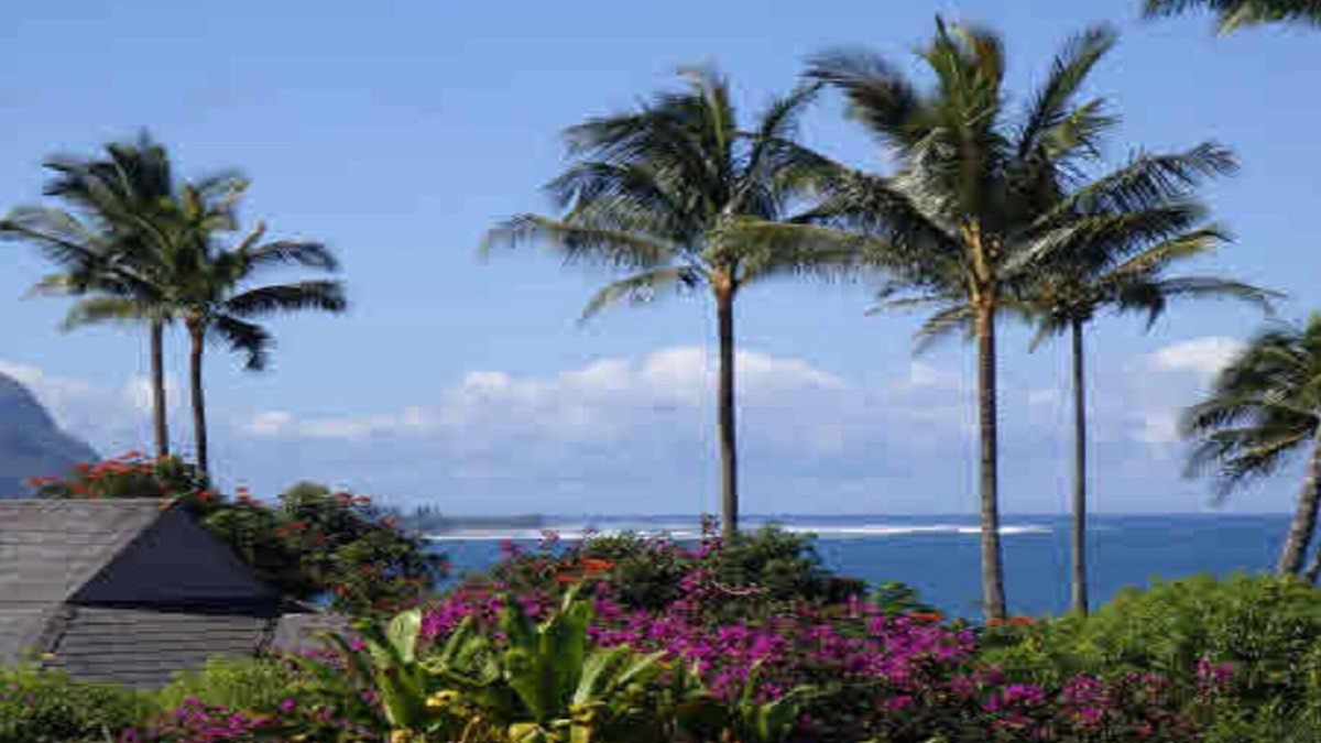 Princeville Apartment | Experience the Island Paradise of Kauai's North Shore from above the Treetops.
