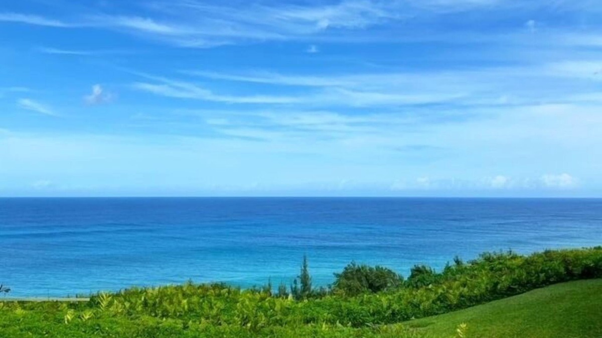 Princeville Condo | Forever Ocean Views POOL & BBQ