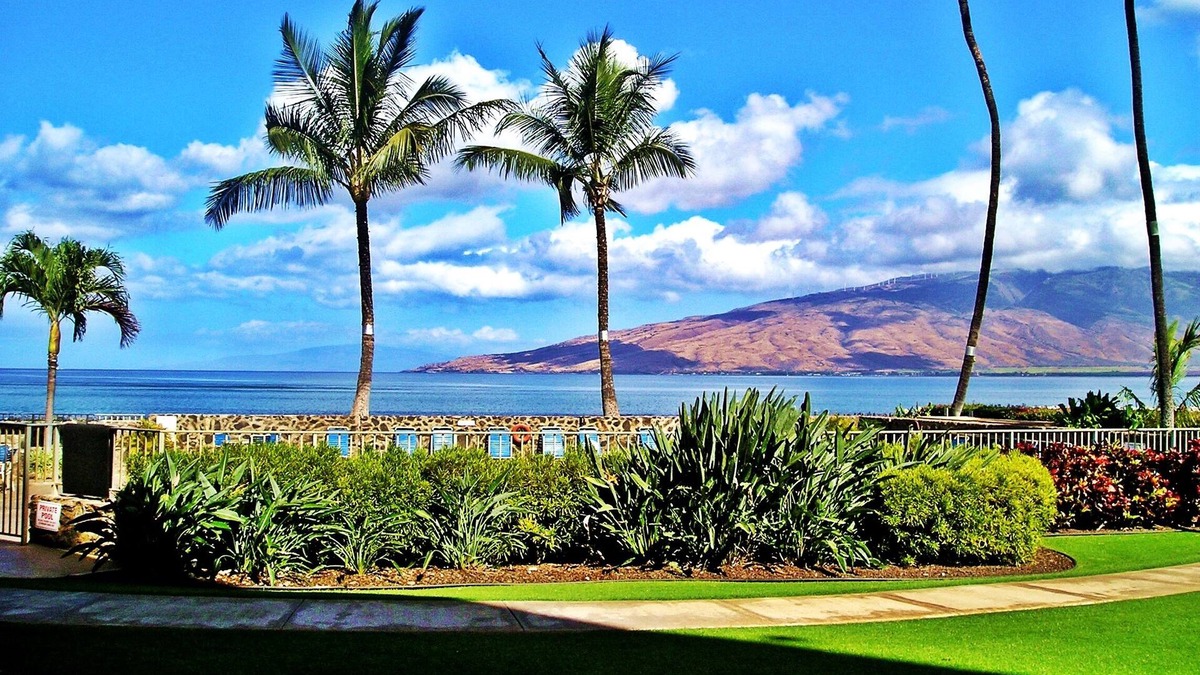 Kihei Condo | Gorgeous Oceanfront Condo Steps From The Beach, Air Conditioned, Free Wi-Fi