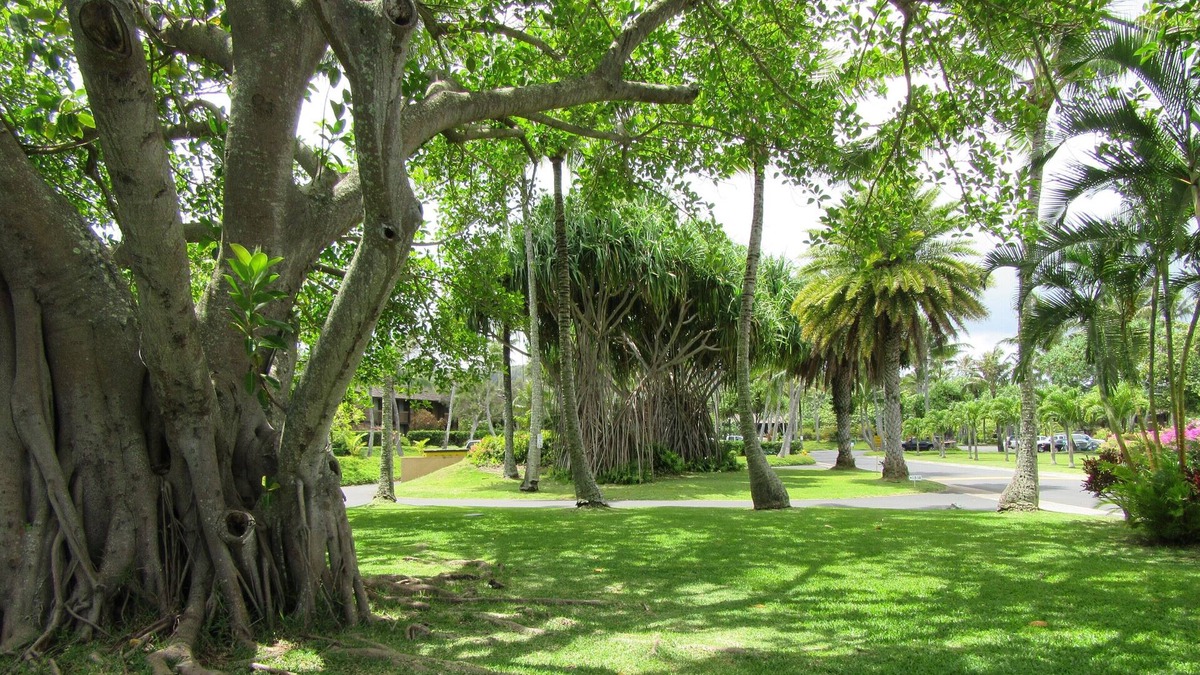 Kahuku Condo | Great Rates! 1-bedroom condo, pools, walking distance to beautiful beaches.