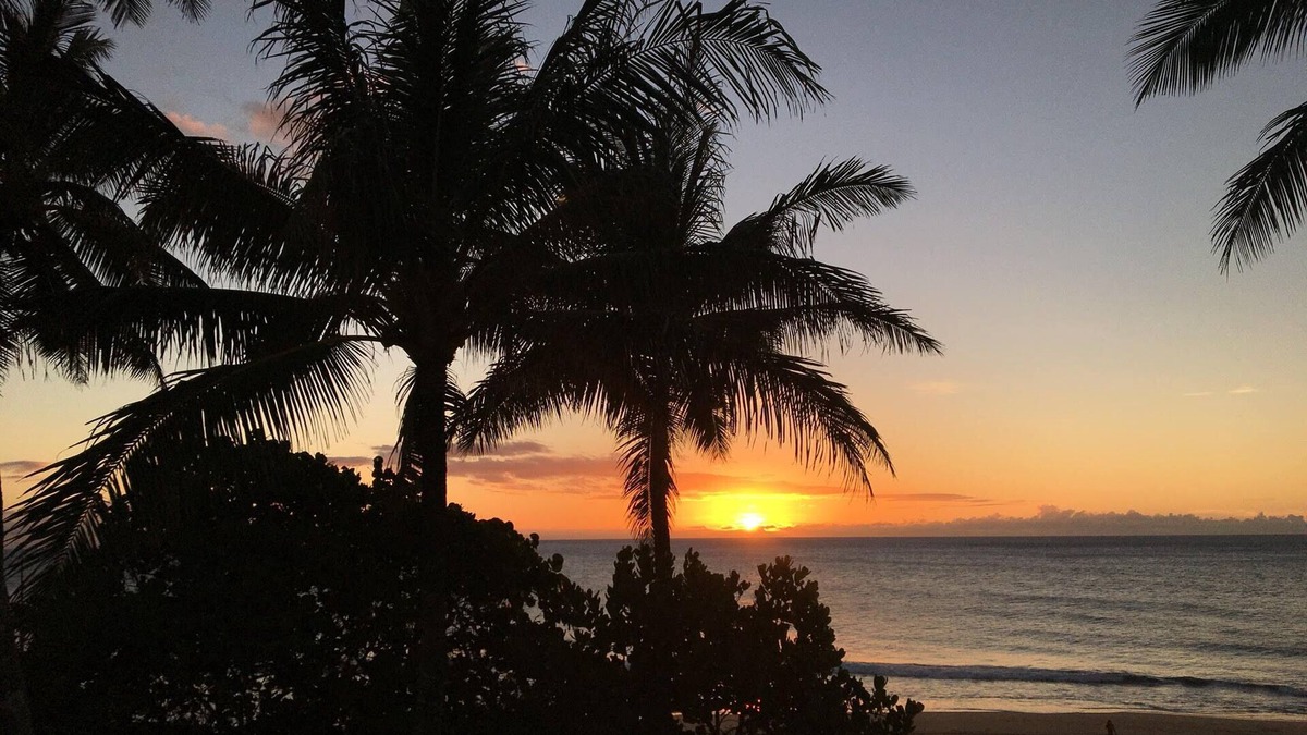 Kahuku Condo | Guest Favorite @ TBR: Sept & Oct Special Booked Rest of 2026