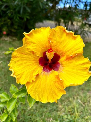 Mokuleia House | Hibiscus Hale - Perfect for 2!