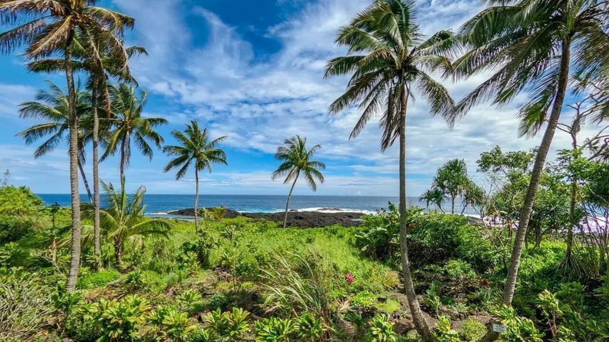 Hilo Apartment | Historic Hilo Home with AC & Lush Tropical Gardens