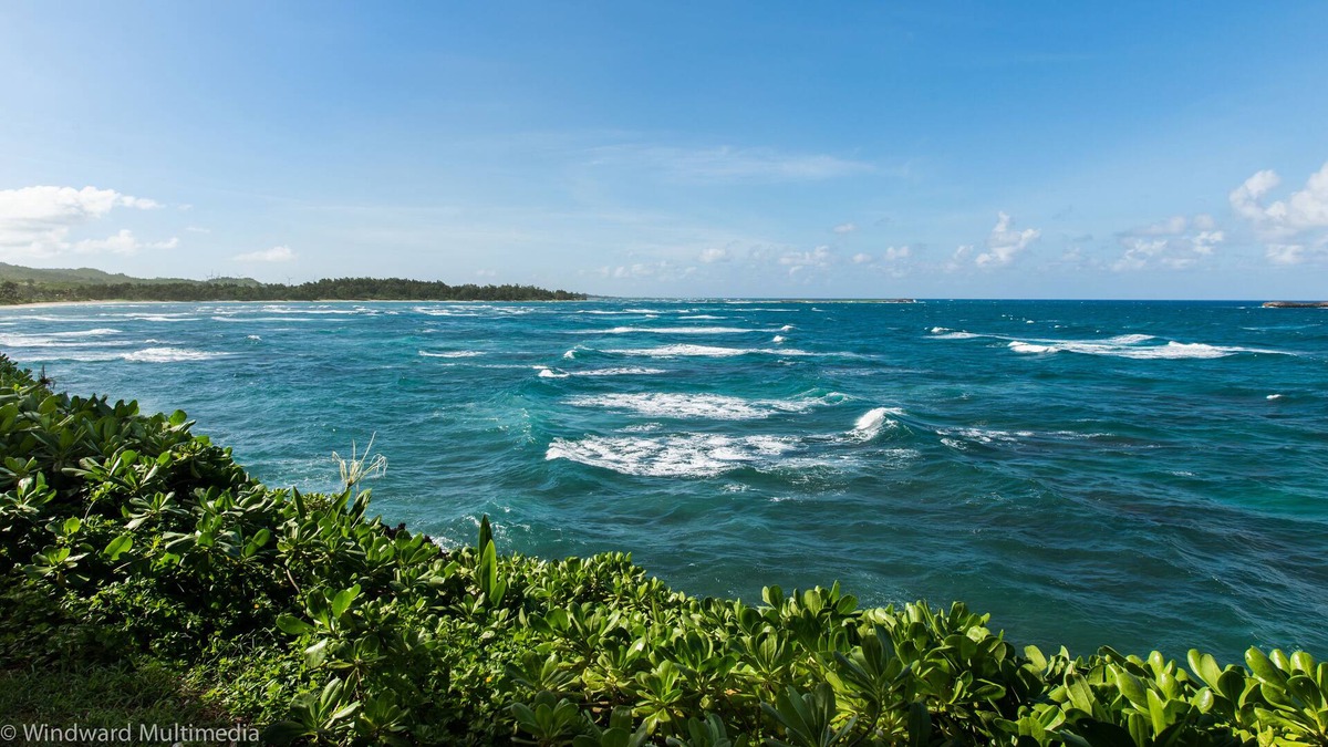 Laie House | Island Hibiscus Hale- Ocean Views, Whale watching, AC