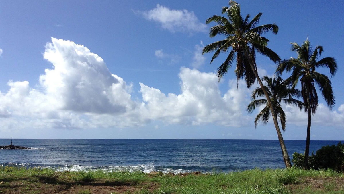 Wailua Condo | ISLANDER AT THE BEACH OCEAN FRONT CONDO # 145