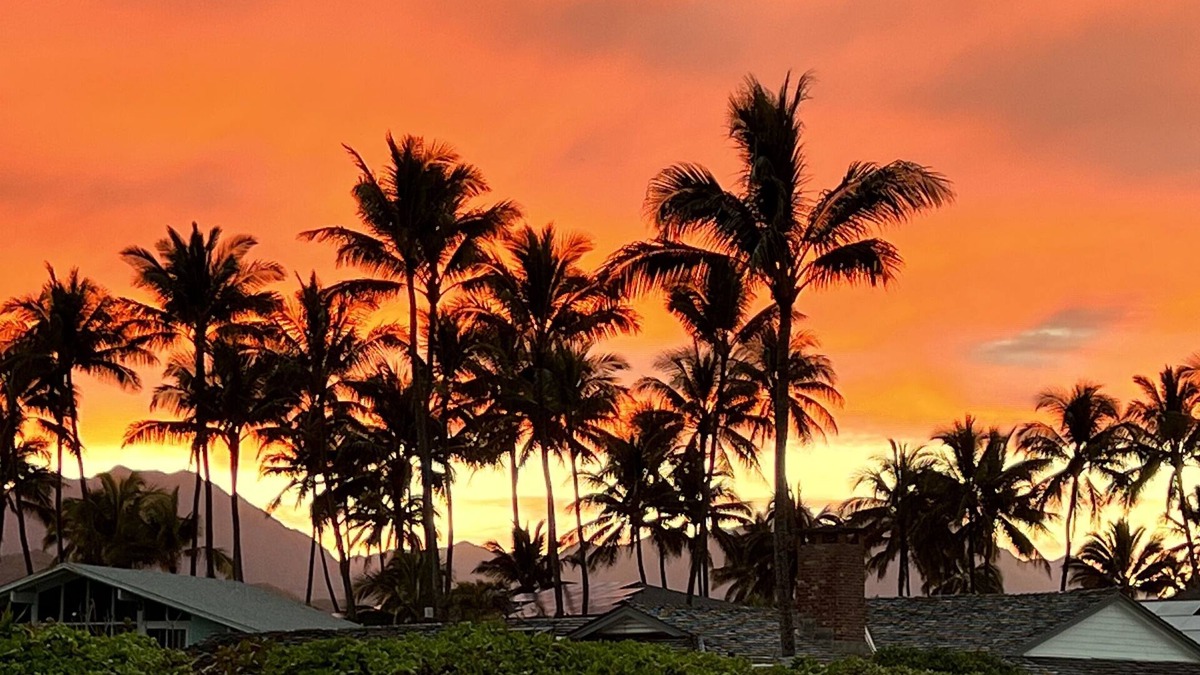 Kailua House | Just 40 Feet to Kailua Beach from our Lush Green Yard
