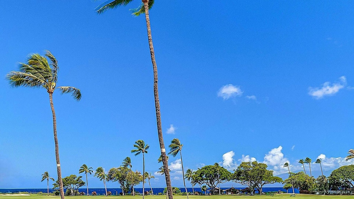 Kaanapali Apartment | Kāʻanapali Ocean View Condo with Beachfront Cabana for Guests