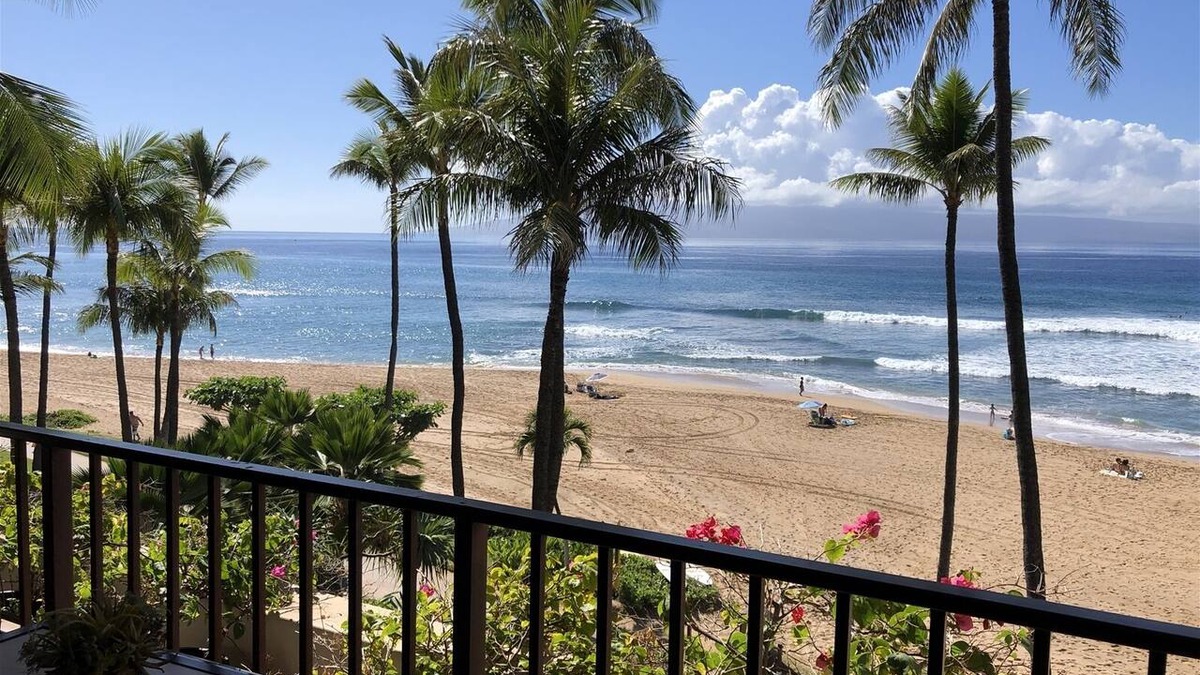 Kaanapali Condo | KAANAPALI ALII #346 EXECUTIVE 2 BEDROOM 2 BATH BEACHFRONT