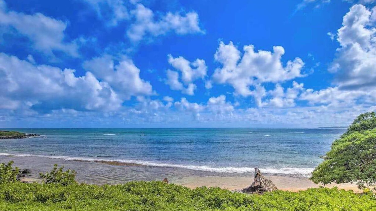 Wailua House Lots Condo | Kapa'a Sands Condo | Oceanfront Views