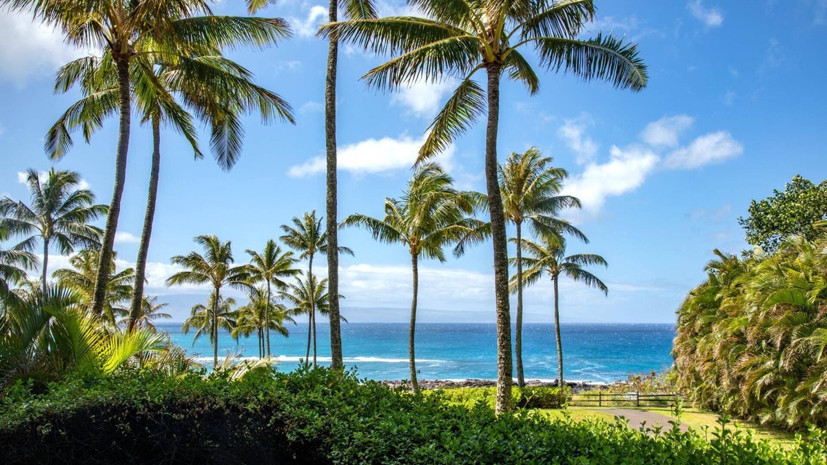 Montage Kapalua Bay Condo | Kapalua Bay Resort | Ocean View 9 BR | Car Incl. w/6+ Nights | MON ML-3821 by KBM