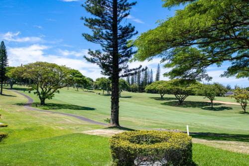 Kapalua Apartment | Kapalua Golf Villas 6 FREE Rental Cars KBM Resorts Large Bedrooms 6 Units 11 Bedrooms ML-2354
