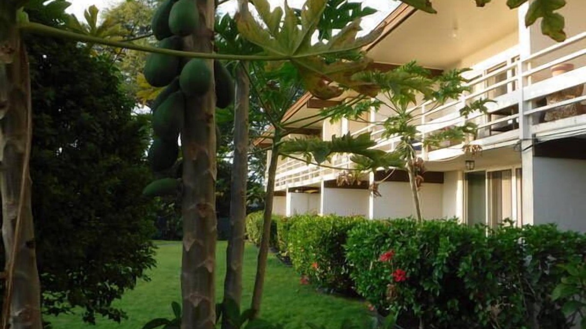 Kahaluu Bay Apartment | Kona White Sands A4 Romantic Ocean View!