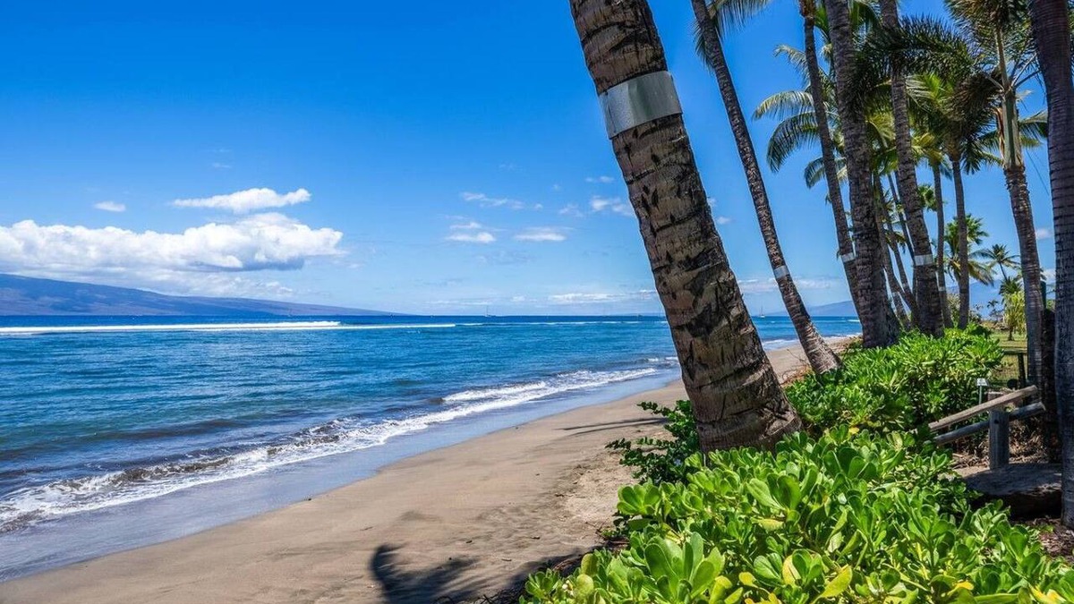 Historic Lahaina Front Street Apartment | Lahaina Shores Beach Resort, Ocean Views Sleeps 5