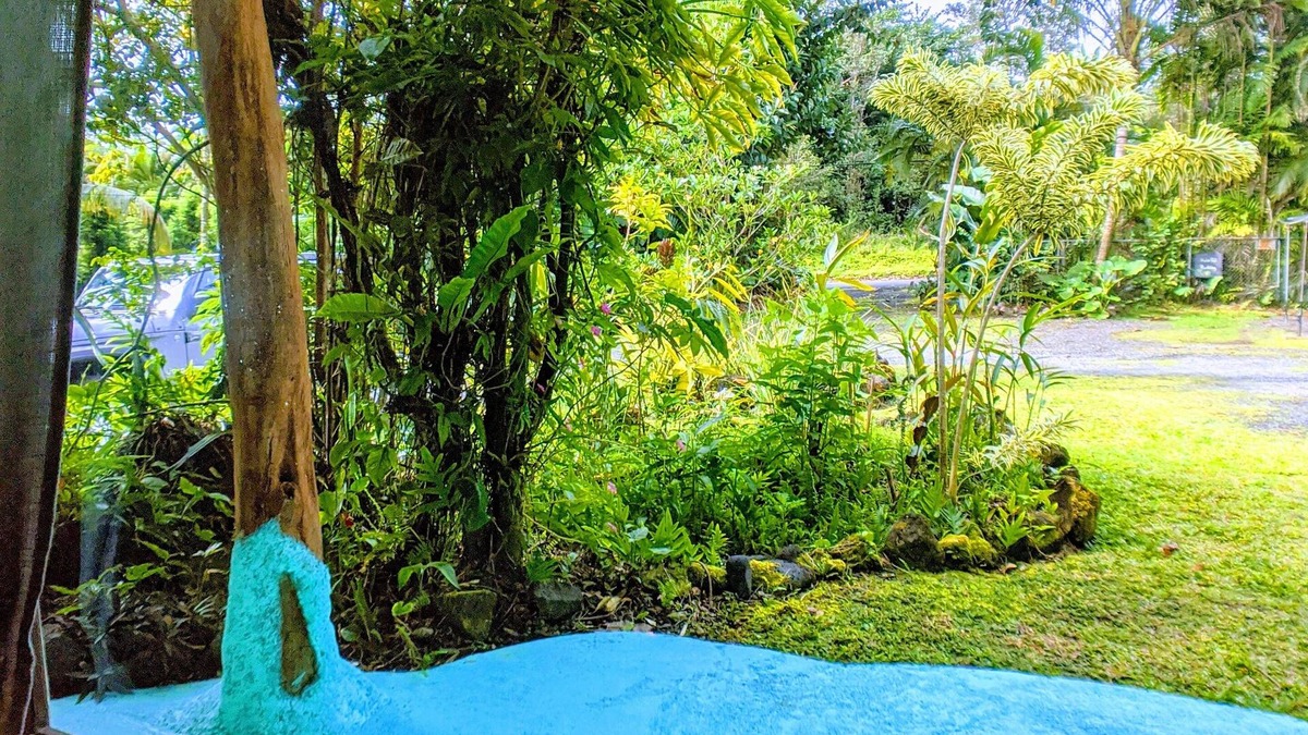 Keaau Apartment | Lava Apartment in Paradise!