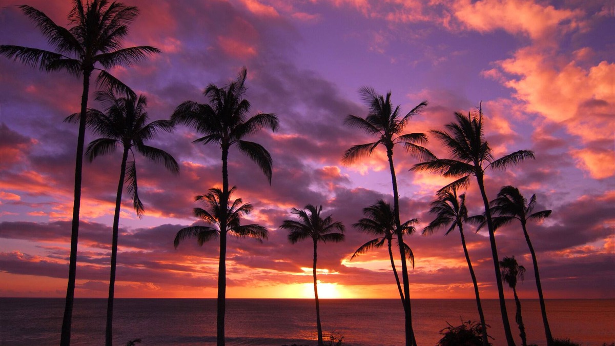 Napili Condo | Luxurious 2nd Floor Oceanview Condo with AC, #B211