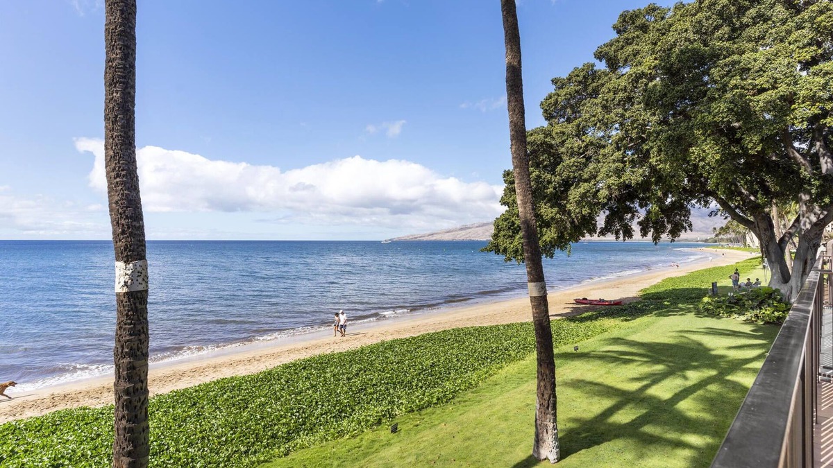 Kihei Condo | Ma'alaea Surf, D9 - Oceanfront Condo - remodeled two-bedroom, 2nd Floor