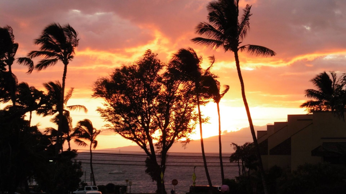 Kihei Condo | MAUI is PARADISE at Kihei Alii Kai C307 - Quiet side of complex.