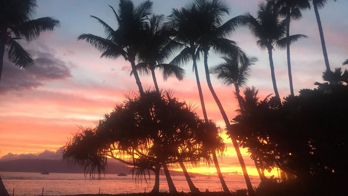 Historic Lahaina Front Street Apartment | Maui, Lahaina Shores Resort; Studio+AC, Oceanfront property.