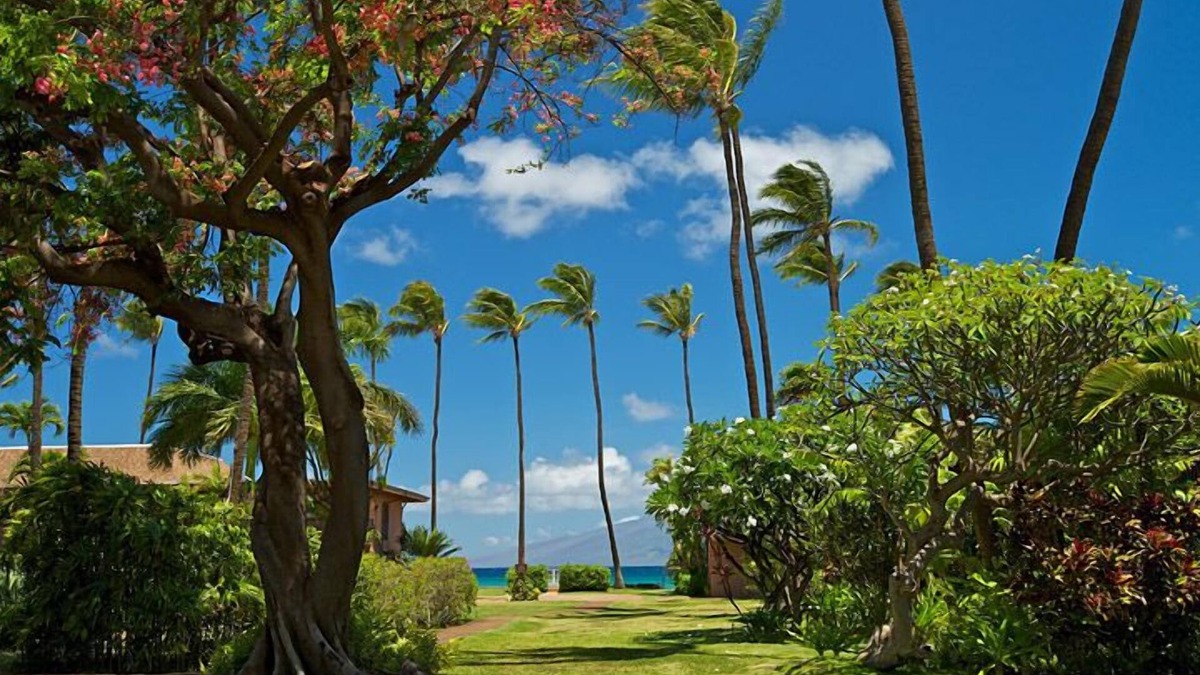 Honokowai Condo | Maui Sands #6e 1 Bedroom Condo by RedAwning