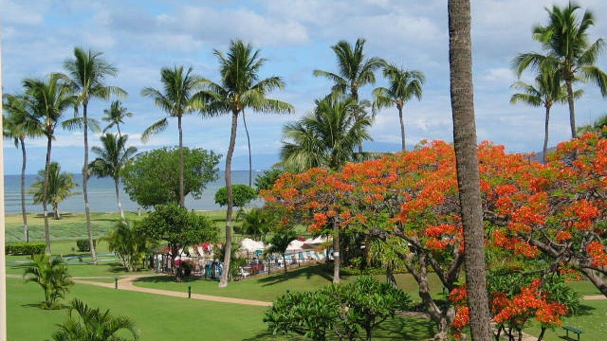 Kihei Condo | Maui Sunset BR, 2BA Condo B-307 - New King Bed