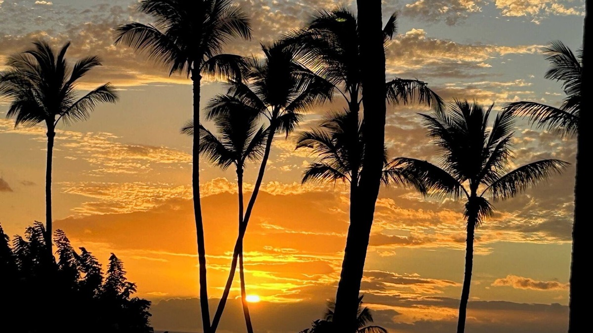 Kihei Condo | More Aloha for Your Money. Ocean View!