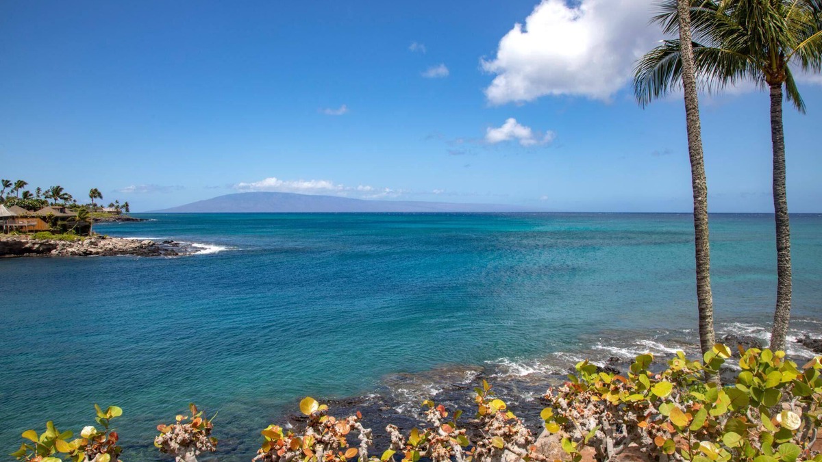 Napili Condo | Napili Point | 3 Free Rental Cars | KBM Resorts | Ocean View 1-bedroom Villa At Napili Point Maui | 3 Units, 5 Bedrooms | NAP ML-1568