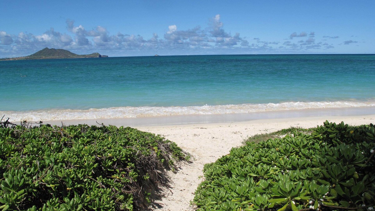 Kailua House | NEW REMODEL STEPS TO SAND, AC, HEATED POOL, MINIMUM STAY 7 NIGHTS, CONTACT OWNER
