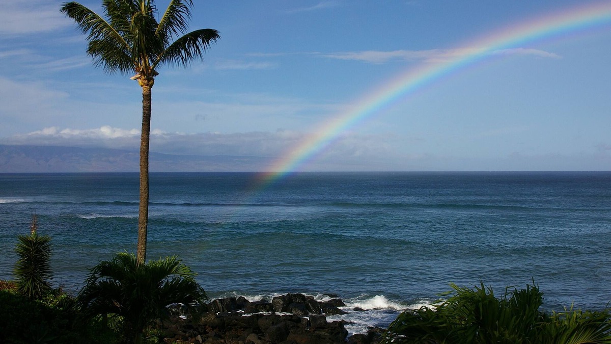 Honokowai Condo | Ocean Front - Kuleana 411