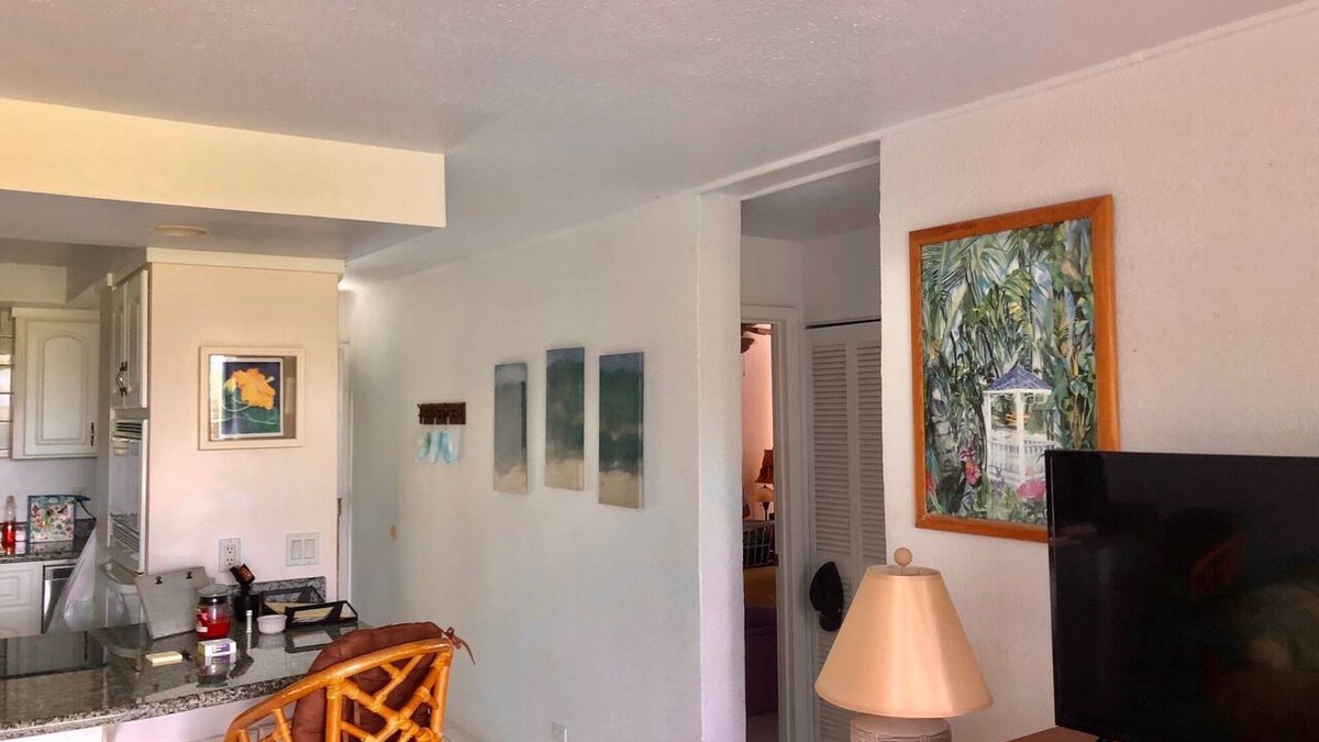 Hilo Condo | OCEAN VIEW 2BRM WITH BEACH PARK NEXT DOOR