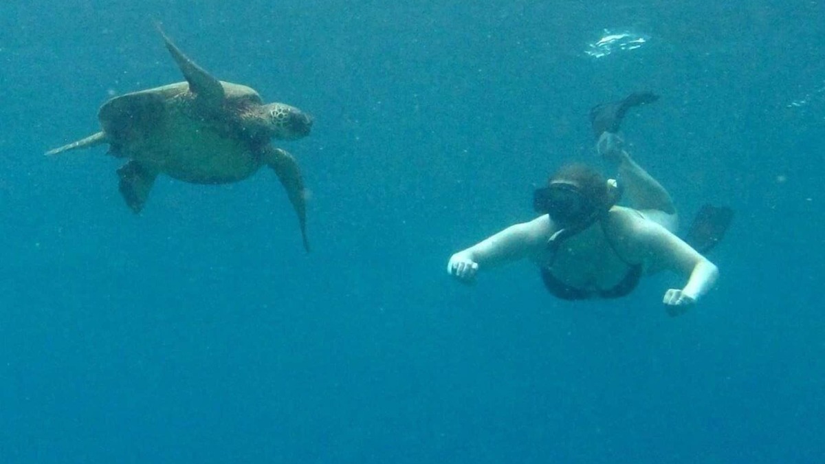 Maalaea Condo | OCEANFRONT Create Forever Memories, Panoramic Views; 2 bdrm, 2 bath, Central A/C