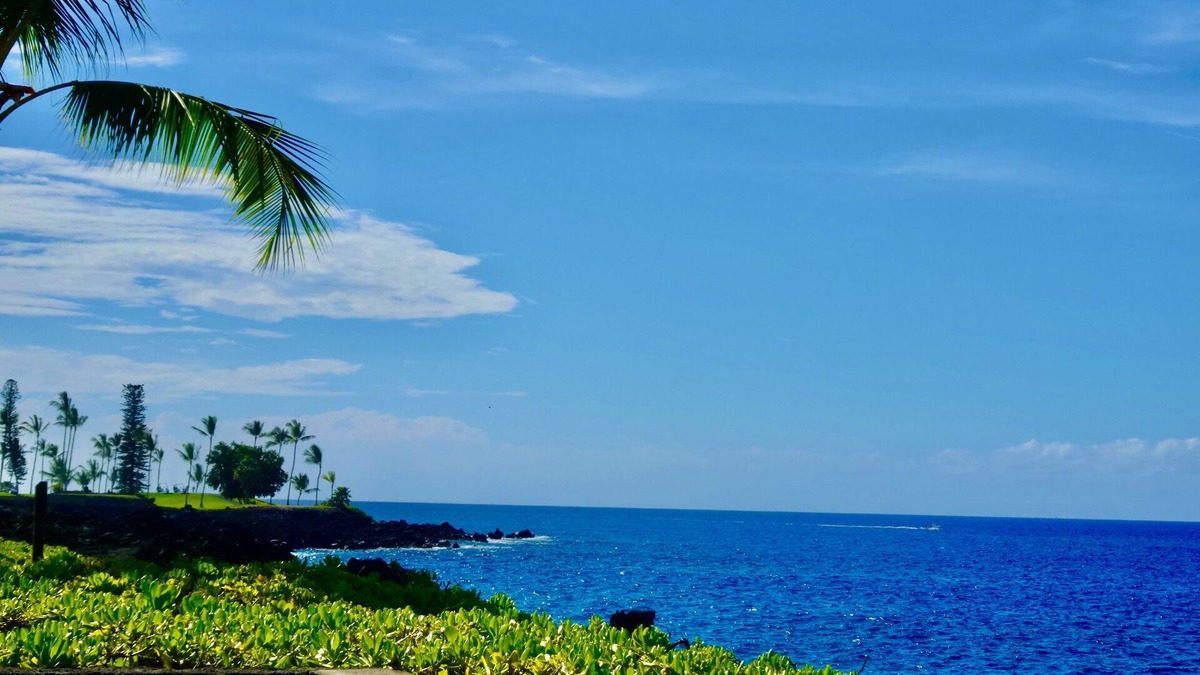 Kahaluu-Keauhou House | Oceanfront Oasis: Luxury Townhome w/AC + steps to Black Sand Beach. Pickleball!